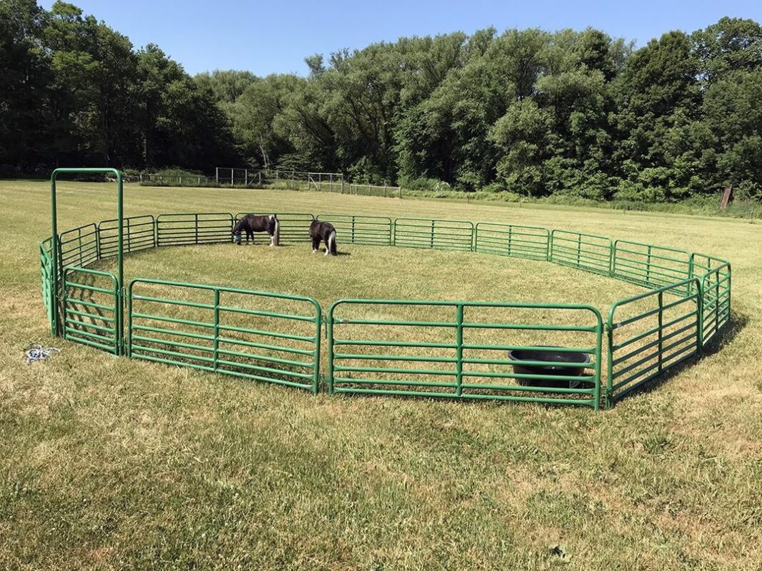 50 ft Round Pen