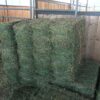 Alfalfa Orchard Mix Hay For Sale