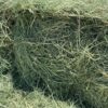 Oat Hay For Sale